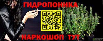 дживик Пушкино