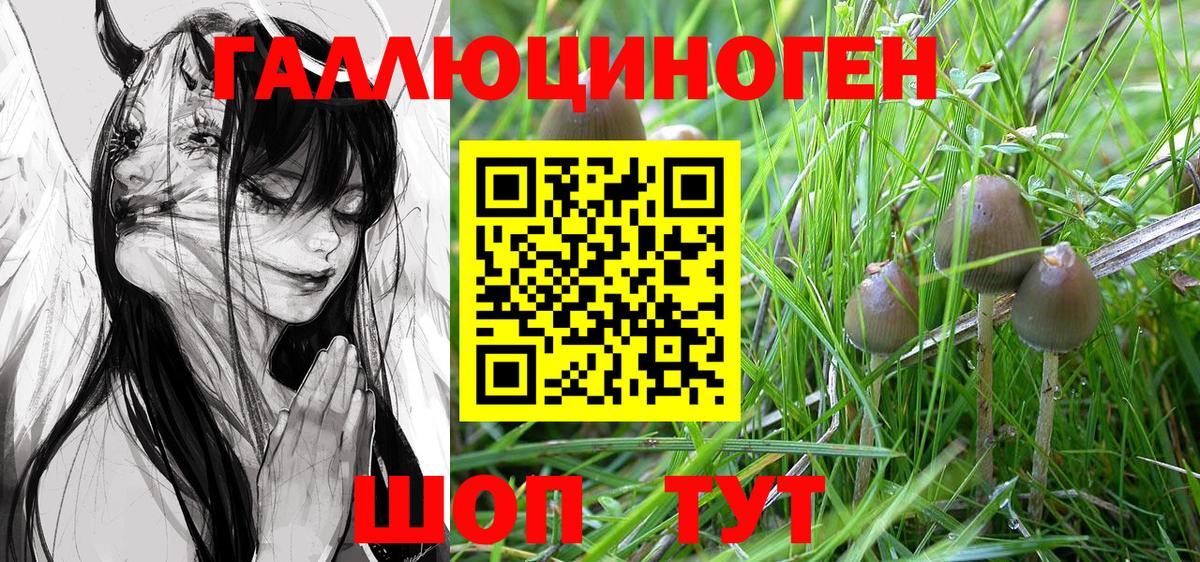 Псилоцибиновые грибы Psilocybe  Вход с VPN  где продают наркотики  Северобайкальск 