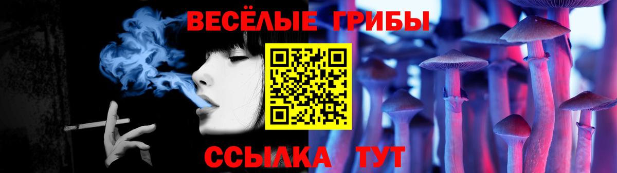 Псилоцибиновые грибы Magic Shrooms Северобайкальск